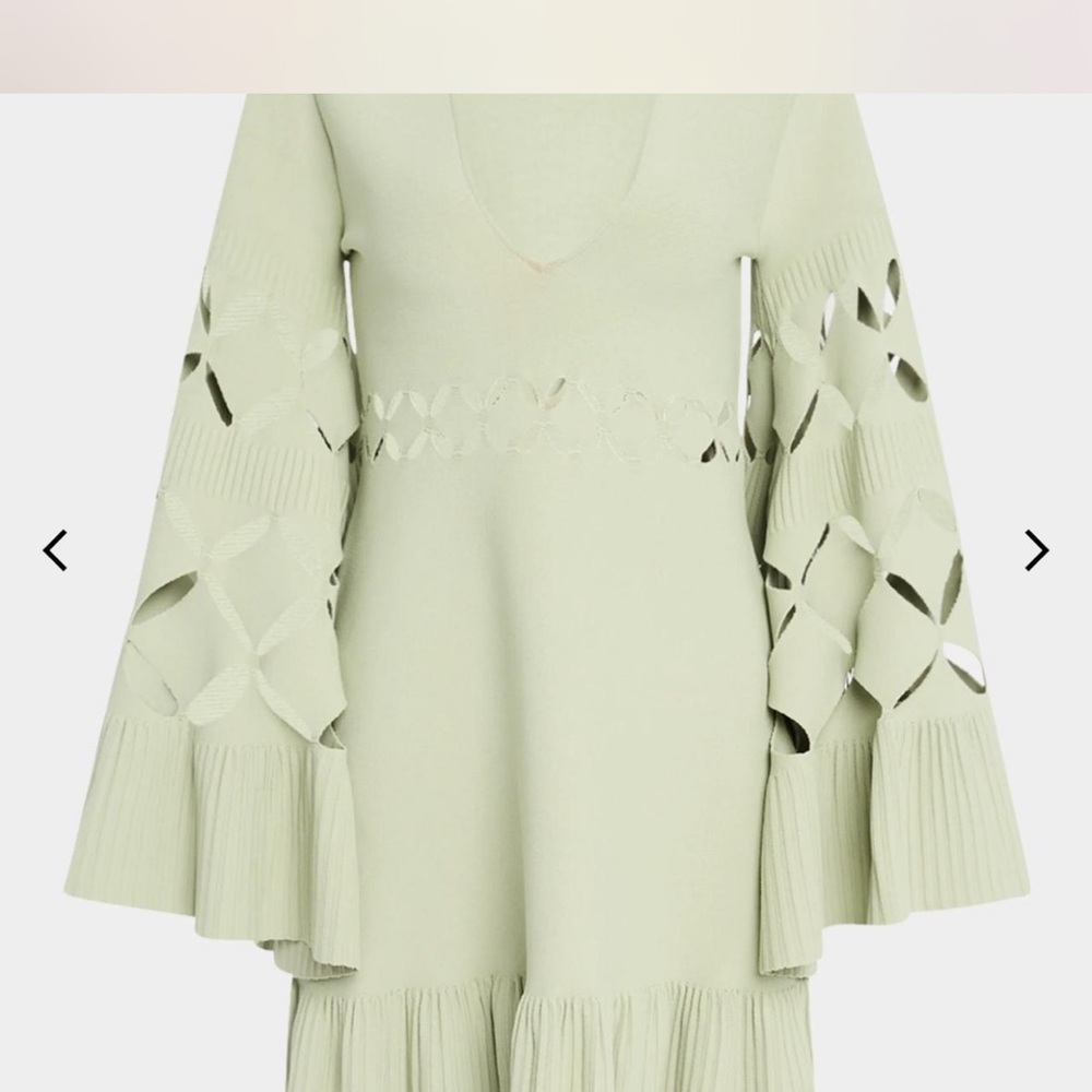 Alexis Green Ruffled Bell Sleeve Mini Dress